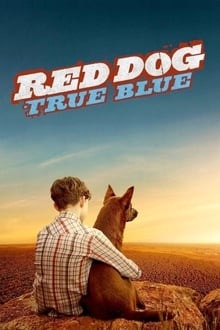 Blue, mon Chien d'Australie